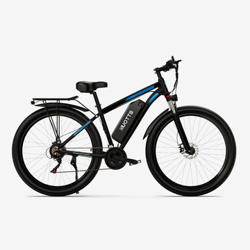 C29/SE16 E-bike