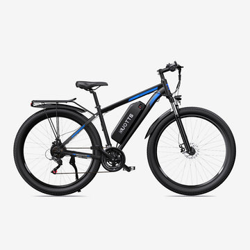 Duotts C29/SE16 E-bike