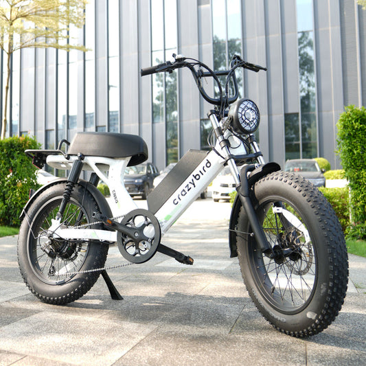Crazybird CB50 E-bike